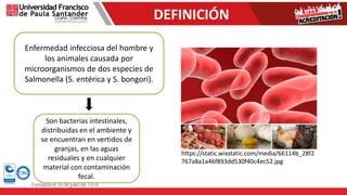 DEFINICIÓN
Enfermedad infecciosa del hombre y
los animales causada por
microorganismos de dos especies de
Salmonella (S. entérica y S. bongori).
Son bacterias intestinales,
distribuidas en el ambiente y
se encuentran en vertidos de
granjas, en las aguas
residuales y en cualquier
material con contaminación
fecal.
https://static.wixstatic.com/media/66114b_28f2
767a8a1a46f893dd530f40c4ec52.jpg
 