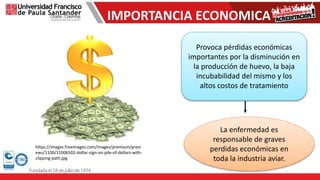 IMPORTANCIA ECONOMICA
Provoca pérdidas económicas
importantes por la disminución en
la producción de huevo, la baja
incubabilidad del mismo y los
altos costos de tratamiento
La enfermedad es
responsable de graves
perdidas económicas en
toda la industria aviar.
https://images.freeimages.com/images/premium/previ
ews/1100/11006502-dollar-sign-on-pile-of-dollars-with-
clipping-path.jpg
 