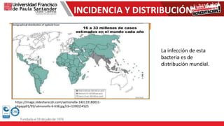 INCIDENCIA Y DISTRIBUCIÓN
https://image.slidesharecdn.com/salmonella-140119180031-
phpapp01/95/salmonella-6-638.jpg?cb=1390154525
La infección de esta
bacteria es de
distribución mundial.
 