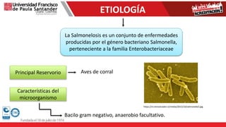 ETIOLOGÍA
La Salmonelosis es un conjunto de enfermedades
producidas por el género bacteriano Salmonella,
perteneciente a la familia Enterobacteriaceae
Principal Reservorio Aves de corral
Características del
microorganismo
Bacilo gram negativo, anaerobio facultativo.
https://m.elmostrador.cl/media/2015/10/salmonella3.jpg
 