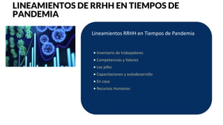 Inventario de trabajadores
Competencias y Valores
Los jefes
Capacitaciones y autodesarrollo
En casa
Recursos Humanos
Lineamientos RRHH en Tiempos de Pandemia
LINEAMIENTOS DE RRHH EN TIEMPOS DE
PANDEMIA
 