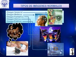 •Imagen Sensorial
•Imagen Mnémica
•Imagen Fantástica
•Imagen Onírica
•Imagen Eidética
 