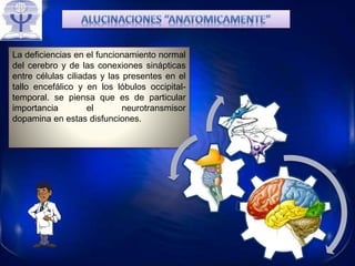 La deficiencias en el funcionamiento normal
del cerebro y de las conexiones sinápticas
entre células ciliadas y las presentes en el
tallo encefálico y en los lóbulos occipital-
temporal. se piensa que es de particular
importancia el neurotransmisor
dopamina en estas disfunciones.
.
.
.
 