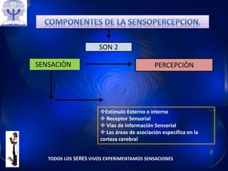 SENSACIÒN
Estimulo Externo o interno
 Receptor Sensorial
 Vías de información Sensorial
 Las áreas de asociación especifica en la
corteza cerebral
SON 2
PERCEPCIÒN
TODOS LOS SERES VIVOS EXPERIMENTAMOS SENSACIONES
 