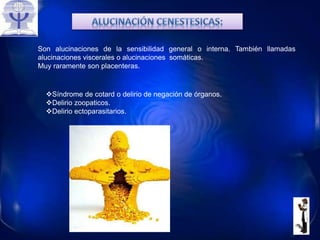 Son alucinaciones de la sensibilidad general o interna. También llamadas
alucinaciones viscerales o alucinaciones somáticas.
Muy raramente son placenteras.
Síndrome de cotard o delirio de negación de órganos.
Delirio zoopaticos.
Delirio ectoparasitarios.
 