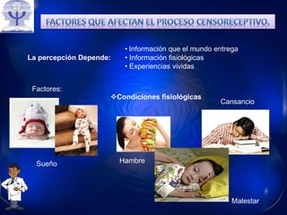 La percepción Depende:
• Información que el mundo entrega
• Información fisiológicas
• Experiencias vividas
Factores:
Sueño
Condiciones fisiológicas
Hambre
Cansancio
Malestar
 