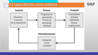 La capacitación como sistema
 