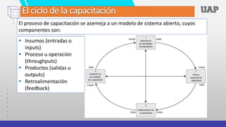 El ciclo de la capacitación
El proceso de capacitación se asemeja a un modelo de sistema abierto, cuyos
componentes son:
 Insumos (entradas o
inputs)
 Proceso u operación
(throughputs)
 Productos (salidas u
outputs)
 Retroalimentación
(feedback)
 