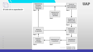 El ciclo de la capacitación
 