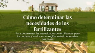 Cómo determinar las
necesidades de los
fertilizantes
Para determinar las necesidades de fertilizantes para
los cultivos y suelos en su región, usted debe saber
dos cosas
 