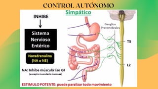CONTROL AUTÓNOMO
 