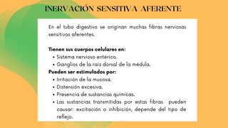 Sistema nervioso entérico.
Ganglios de la raíz dorsal de la médula.
Irritación de la mucosa.
Distensión excesiva.
Presencia de sustancias químicas.
Las sustancias transmitidas por estas fibras pueden
causar: excitación o inhibición, depende del tipo de
reflejo.
En el tubo digestivo se originan muchas fibras nerviosas
sensitivas aferentes.
Tienen sus cuerpos celulares en:
Pueden ser estimulados por:
INERVACIÓN SENSITIVA AFERENTE
 