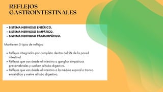 REFLEJOS
GASTROINTESTINALES
SISTEMA NERVIOSO ENTÉRICO.
SISTEMA NERVIOSO SIMPÁTICO.
SISTEMA NERVIOSO PARASIMPÁTICO.
Reflejos integrados por completo dentro del SN de la pared
intestinal.
Reflejos que van desde el intestino a ganglios simpáticos
prevertebrales y vuelven al tubo digestivo.
Reflejos que van desde el intestino a la médula espinal o tronco
encefálico y vuelve al tubo digestivo.
Mantienen 3 tipos de reflejos:
 