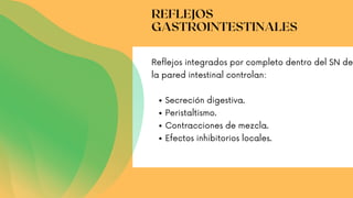 REFLEJOS
GASTROINTESTINALES
Secreción digestiva.
Peristaltismo.
Contracciones de mezcla.
Efectos inhibitorios locales.
Reflejos integrados por completo dentro del SN de
la pared intestinal controlan:
 