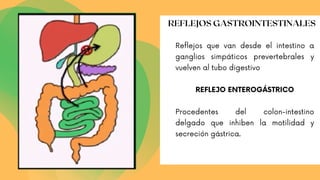 Reflejos que van desde el intestino a
ganglios simpáticos prevertebrales y
vuelven al tubo digestivo
REFLEJO ENTEROGÁSTRICO
Procedentes del colon-intestino
delgado que inhiben la motilidad y
secreción gástrica.
REFLEJOS GASTROINTESTINALES
 
