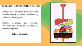 Reflejos que van desde el intestino a la
médula espinal o tronco encefálico y
vuelve al tubo digestivo
Reflejos dolorosos que provocan
inhibición general de la totalidad del
aparato digestivo.
Dolor = Inhibición
REFLEJOS GASTROINTESTINALES
 