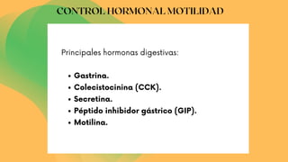 Gastrina.
Colecistocinina (CCK).
Secretina.
Péptido inhibidor gástrico (GIP).
Motilina.
Principales hormonas digestivas:
CONTROL HORMONAL MOTILIDAD
 