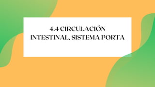 4.4 CIRCULACIÓN
INTESTINAL, SISTEMA PORTA
 