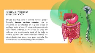 El tubo digestivo tiene un sistema nervioso propio
llamado sistema nervioso entérico, que se
encuentra en su totalidad en la pared desde el
esófago hasta el ano. El número de neuronas de
este sistema entérico es de acerca de unos 100
millones, casi exactamente igual al de toda la
médula espinal. Este sistema nervioso entérico tan
desarrollado sirve sobre todo para controlar los
movimientos y las secreciones gastrointestinales.
SISTEMA ENTÉRICO
INTRODUCCIÓN
 