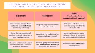 DIGESTIÓN SECRECIÓN
HIPOXIA
(Disminución de la
concentración de oxígeno)
La mucosa del intestino libera
sustancias vasodilatadoras
(hormonas peptídicas)
Las glándulas gastrointestinales
secretan dos cininas
En la pared intestinal puede
aumentar el flujo intestinal de
50-100% o más
Como la colecistocinina, el
péptido intestinal vasoactivo, la
gastrina y la secretina
La calidina y la bradicinina (son
vasodilatadores potentes)
Mayor metabolismo o Menor
oxígeno = Mayor la formación
de sustancias vasodilatadoras
Intervienen también en el control de
actividades motoras y secretoras
específicas del intestino
Provocan gran parte del aumento
de la vasodilatación mucosa que
acompaña a la secreción
Principalmente la adenosina =
vasodilatación
MECANISMOS DEL AUMENTO DEL FLUJO SANGUÍNEO
DURANTE LA ACTIVIDAD GASTROINTESTINAL
 