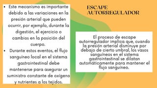 ESCAPE
AUTORREGULADOR
Este mecanismo es importante
debido a las variaciones en la
presión arterial que pueden
ocurrir, por ejemplo, durante la
digestión, el ejercicio o
cambios en la posición del
cuerpo.
Durante estos eventos, el flujo
sanguíneo local en el sistema
gastrointestinal debe
mantenerse para asegurar un
suministro constante de oxígeno
y nutrientes a los tejidos.
El proceso de escape
autorregulador implica que, cuando
la presión arterial disminuye por
debajo de cierto umbral, los vasos
sanguíneos en el sistema
gastrointestinal se dilatan
automáticamente para mantener el
flujo sanguíneo.
 