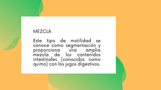 MEZCLA
Este tipo de motilidad se
conoce como segmentación y
proporciona una amplia
mezcla de los contenidos
intestinales (conocidos como
quimo) con los jugos digestivos.
 