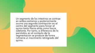 Un segmento de los intestinos se contrae
en ambos extremos y posteriormente
ocurre una segunda contracción en el
centro del segmento para forzar al
quimo tanto hacia atrás como hacia
adelante. Por tanto, a diferencia de la
peristalsis, en el contexto de la
segmentación se produce de forma
rutinaria un movimiento retrógrado del
quimo.
 
