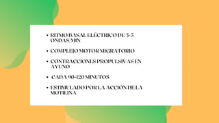 RITMO BASAL ELÉCTRICO DE 3-5
ONDAS/MIN
COMPLEJO MOTOR MIGRATORIO
CONTRACCIONES PROPULSIVAS EN
AYUNO
CADA 90-120 MINUTOS
ESTIMULADO POR LA ACCIÓN DE LA
MOTILINA
 