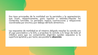 Dos tipos principales de la motilidad son la peristalsis y la segmentación,
que sirven, respectivamente, para impulsar o retardar/mezclar los
contenidos luminales. La peristalsis implica contracciones y relajaciones
coordinadas por encima y por debajo del bolo alimenticio.
Las respuestas de motilidad en el intestino delgado mezclan la comida con
el jugo pancreático y la bilis, y propulsan la comida a lo largo de todo el
intestino para que sus componentes digeridos queden expuestos a la
superficie epitelial y, por tanto, sea posible la absorción.
 