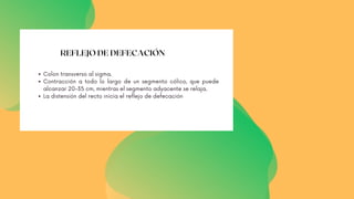 REFLEJO DE DEFECACIÓN
Colon transverso al sigma.
Contracción a todo lo largo de un segmento cólico, que puede
alcanzar 20-35 cm, mientras el segmento adyacente se relaja.
La distensión del recto inicia el reflejo de defecación
 