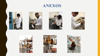 ANEXOS
 