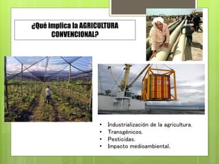 ¿Qué implica la AGRICULTURA
CONVENCIONAL?
• Industrialización de la agricultura.
• Transgénicos.
• Pesticidas.
• Impacto medioambiental.
 