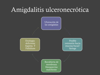 Amigdalitis ulceronecrótica
Ulceración de
las amígdalas
Posible
extensión hacia
mucosa bucal/
farínge
Recubierta de
membrana
blanquecina
maloliente
Etiología:
deficiente
higiene, T
Pallidium
 