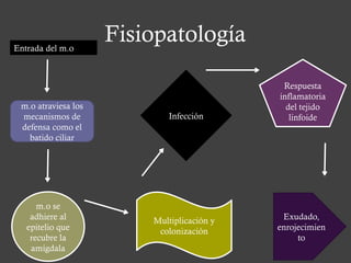 Fisiopatología
Entrada del m.o
m.o atraviesa los
mecanismos de
defensa como el
batido ciliar
m.o se
adhiere al
epitelio que
recubre la
amígdala
Multiplicación y
colonización
Infección
Respuesta
inflamatoria
del tejido
linfoide
Exudado,
enrojecimien
to
 