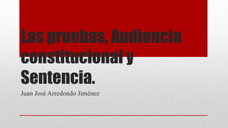 Las pruebas, Audiencia
constitucional y
Sentencia.
Juan José Arredondo Jiménez
 