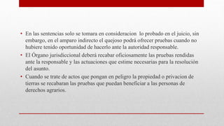 • En las sentencias solo se tomara en consideracion lo probado en el juicio, sin
embargo, en el amparo indirecto el quejoso podrá ofrecer pruebas cuando no
hubiere tenido oportunidad de hacerlo ante la autoridad responsable.
• El Órgano jurisdiccional deberá recabar oficiosamente las pruebas rendidas
ante la responsable y las actuaciones que estime necesarias para la resolución
del asunto.
• Cuando se trate de actos que pongan en peligro la propiedad o privacion de
tierras se recabaran las pruebas que puedan beneficiar a las personas de
derechos agrarios.
 