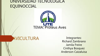 UNIVERSIDAD TECNOLOGICA
EQUINOCCIAL
TEMA: Proteus Aves
Integrantes:
Richard Zambrano
Jamila Freire
Cinthya Bosquez
Anderson Caizaluisa
AVICULTURA
 