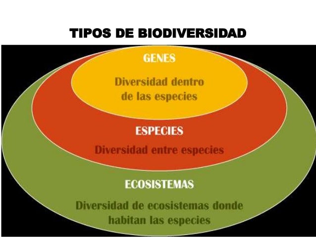 factores de la biodiversidad
