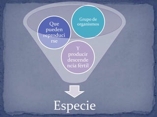 Especie
Y
producir
descende
ncia fértil
Que
pueden
reproduci
rse
Grupo de
organismos
 
