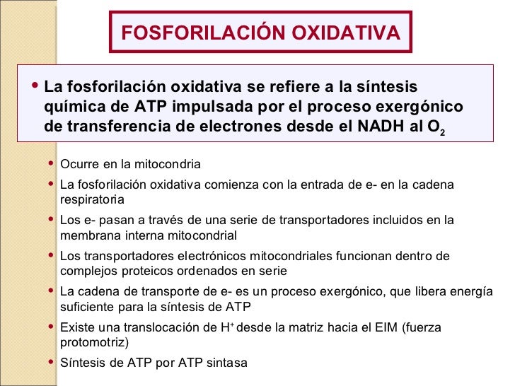 Expo Sinstesis de ATP