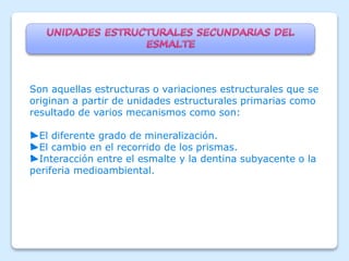 Son aquellas estructuras o variaciones estructurales que se
originan a partir de unidades estructurales primarias como
resultado de varios mecanismos como son:
►El diferente grado de mineralización.
►El cambio en el recorrido de los prismas.
►Interacción entre el esmalte y la dentina subyacente o la
periferia medioambiental.
 