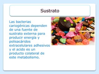 Las bacterias
cariogénicas dependen
de una fuente de
sustrato externa para
producir energía y
polisacáridos
extracelulares adhesivos
y el acido es un
producto colateral de
este metabolismo.
 