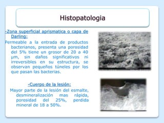 -Zona superficial aprismatica o capa de
Darling:
Permeable a la entrada de productos
bacterianos, presenta una porosidad
del 5% tiene un grosor de 20 a 40
µm, sin daños significativos ni
irreversibles en su estructura, se
observan pequeños túneles por los
que pasan las bacterias.
-Cuerpo de la lesión:
Mayor parte de la lesión del esmalte,
desmineralización mas rápida,
porosidad del 25%, perdida
mineral de 18 a 50%.
 