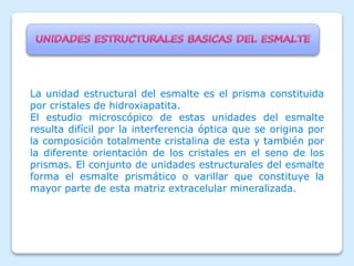 La unidad estructural del esmalte es el prisma constituida
por cristales de hidroxiapatita.
El estudio microscópico de estas unidades del esmalte
resulta difícil por la interferencia óptica que se origina por
la composición totalmente cristalina de esta y también por
la diferente orientación de los cristales en el seno de los
prismas. El conjunto de unidades estructurales del esmalte
forma el esmalte prismático o varillar que constituye la
mayor parte de esta matriz extracelular mineralizada.
 