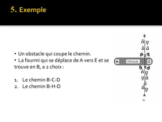 • Un obstacle qui coupe le chemin.
• La fourmi qui se déplace de A vers E et se
trouve en B, a 2 choix :
1. Le chemin B-C-D
2. Le chemin B-H-D
 