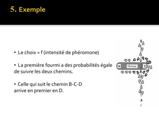 • Le choix = f (intensité de phéromone)
• La première fourmi a des probabilités égale
de suivre les deux chemins.
• Celle qui suit le chemin B-C-D
arrive en premier en D.
 
