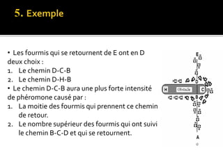 • Les fourmis qui se retournent de E ont en D
deux choix :
1. Le chemin D-C-B
2. Le chemin D-H-B
• Le chemin D-C-B aura une plus forte intensité
de phéromone causé par :
1. La moitie des fourmis qui prennent ce chemin
de retour.
2. Le nombre supérieur des fourmis qui ont suivi
le chemin B-C-D et qui se retournent.
 