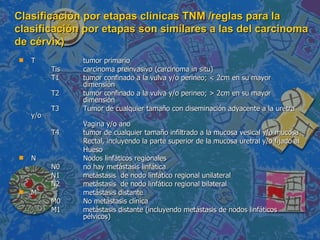 Clasificación por etapas clínicas TNM /reglas para la clasificación por etapas son similares a las del carcinoma de cérvix) T tumor primario Tis carcinoma preinvasivo (carcinoma in situ) T1 tumor confinado a la vulva y/o perineo; < 2cm en su mayor  dimensión T2 tumor confinado a la vulva y/o perineo; > 2cm en su mayor  dimensión T3 Tumor de cualquier tamaño con diseminación adyacente a la uretra y/o  Vagina y/o ano T4 tumor de cualquier tamaño infiltrado a la mucosa vesical y/o mucosa  Rectal, incluyendo la parte superior de la mucosa uretral y/o fijado al Hueso N Nodos linfáticos regionales N0 no hay metástasis linfática N1 metástasis  de nodo linfático regional unilateral N2 metástasis  de nodo linfático regional bilateral M metástasis distante M0 No metástasis clínica M1 metástasis distante (incluyendo metástasis de nodos linfáticos  pélvicos) 