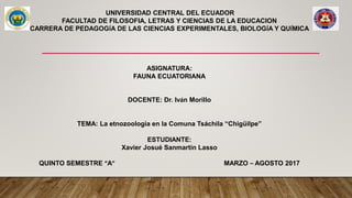 UNIVERSIDAD CENTRAL DEL ECUADOR
FACULTAD DE FILOSOFIA, LETRAS Y CIENCIAS DE LA EDUCACION
CARRERA DE PEDAGOGÍA DE LAS CIENCIAS EXPERIMENTALES, BIOLOGÍA Y QUÍMICA
ASIGNATURA:
FAUNA ECUATORIANA
DOCENTE: Dr. Iván Morillo
TEMA: La etnozoología en la Comuna Tsáchila “Chigüilpe”
ESTUDIANTE:
Xavier Josué Sanmartín Lasso
QUINTO SEMESTRE “A” MARZO – AGOSTO 2017
 