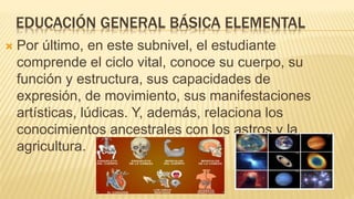 EDUCACIÓN GENERAL BÁSICA ELEMENTAL
 Por último, en este subnivel, el estudiante
comprende el ciclo vital, conoce su cuerpo, su
función y estructura, sus capacidades de
expresión, de movimiento, sus manifestaciones
artísticas, lúdicas. Y, además, relaciona los
conocimientos ancestrales con los astros y la
agricultura.
 